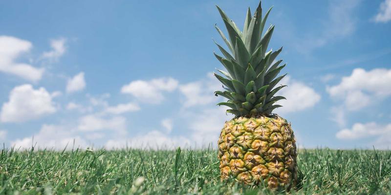 从监控到洞察：基于OpenTelemetry的分布式追踪与指标融合实战指南